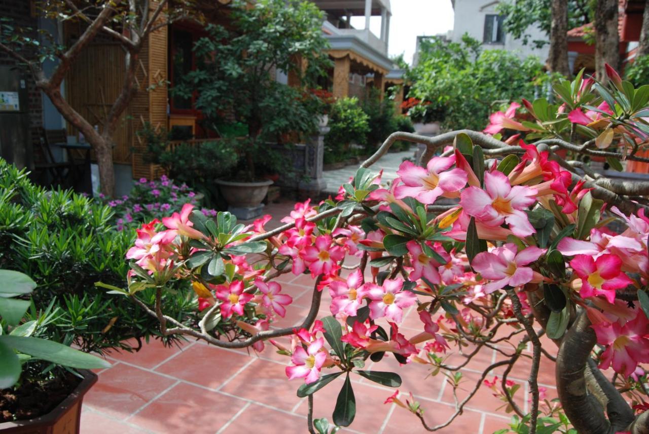 Hotel Tam Coc Tropical Garden Ninh Binh Zewnętrze zdjęcie