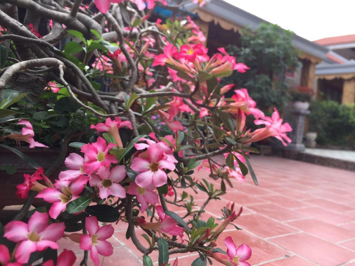 Hotel Tam Coc Tropical Garden Ninh Binh Zewnętrze zdjęcie